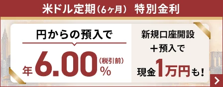 米ドル定期（6ヶ月）特別金利 円からの預入で年6.00％（税引前）新規口座開設＋預入で 現金1万円も！