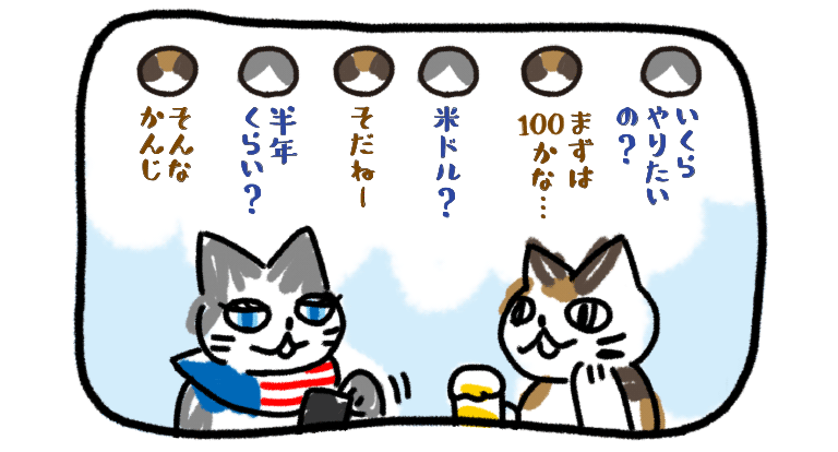 いくらやりたいの？まずは100かな...、米ドル？そだねー、半年くらい？そんなかんじ、のやりとりのイメージ