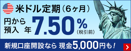 米ドル定期（6ヶ月）円から預入 年7.50%（税引前）新規口座開設なら現金5,000円も！