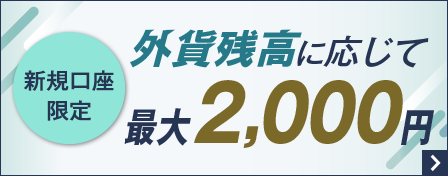 外貨を始めるなら口座開設してすぐがおすすめ