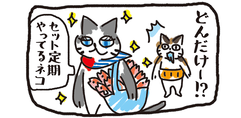 お魚いっぱいもってるネコ、セット定期やってるネコのイメージ