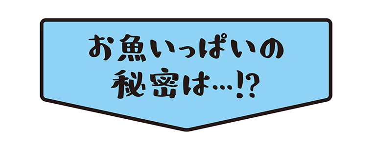 お魚いっぱいの秘密は...!?のボタン